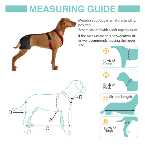 LISPOO Dog Hip Brace for Hip Dysplasia