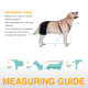 LISPOO Labrador Dog Hip Brace