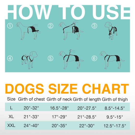 LISPOO Labrador Dog Hip Brace
