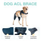 LISPOO Dog Knee ACL Brace With Metal Splint Hinged Flexible Support