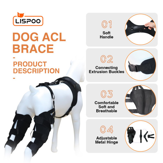 LISPOO Golden Retriever Double Hind Leg Hinged Knee Braces For Torn ACL