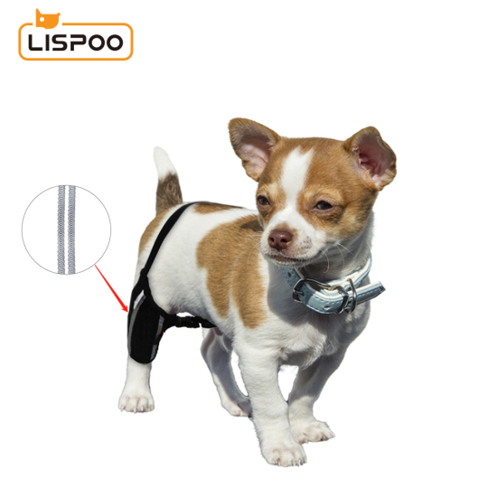 Chihuahua Leg Brace with Reflective Metal Support