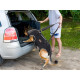 Dog Full Body Lifting Harness with Reflective Straps