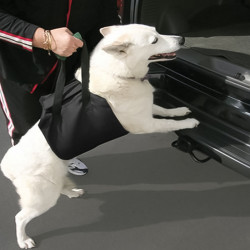 TAILUP Lift Harness for Dog Waist