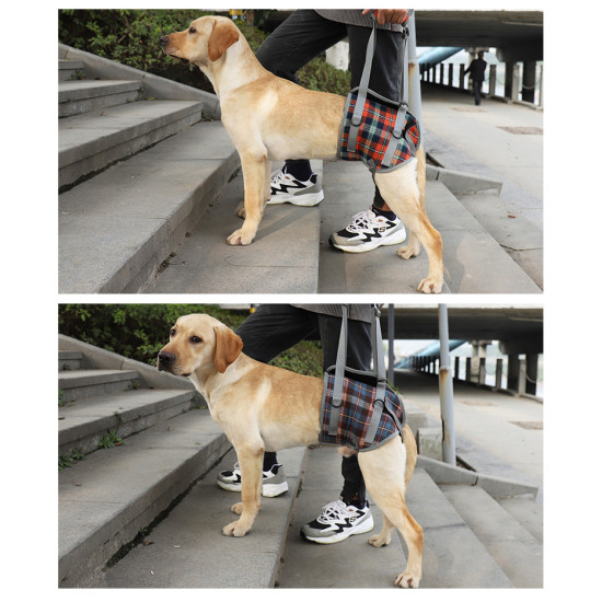 Dog Lift Harness for Hind Legs