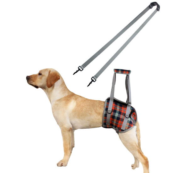 Dog Lift Harness for Hind Legs