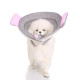 Dog Cones Recovery Collar