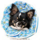 Elizabethan Collar for Cats Dogs