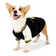 Dog Baseball Sweatshirt 