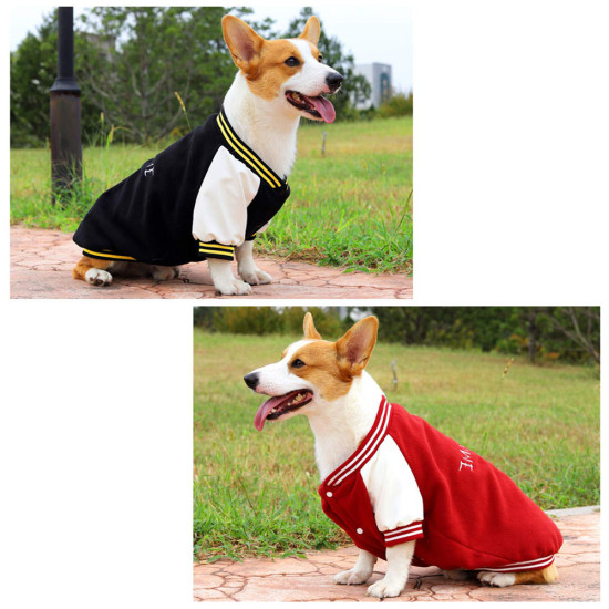 Dog Baseball Sweatshirt 