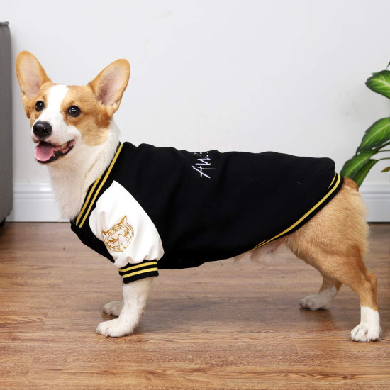 Dog Baseball Sweatshirt 