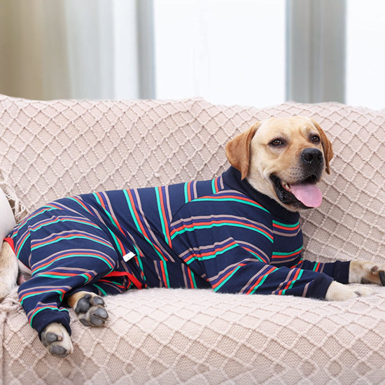 Anti Licking Dog Shirt