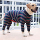 Anti Licking Dog Shirt