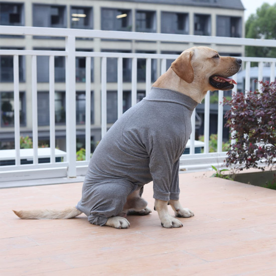 Anti Licking Dog Shirt