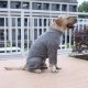 Anti Licking Dog Shirt