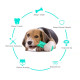 Dog Chew Toy Rubber Molar Stick