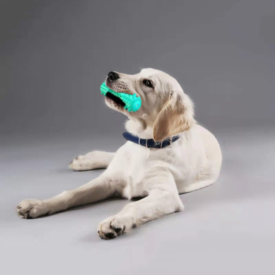 Dog Chew Toy Rubber Molar Stick