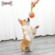 DOGLEMI DOG Slow Food Toy 3 In 1 Eggplant Set