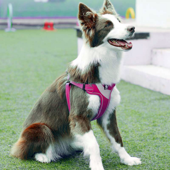 True Love Reflective Dog Vest Harness